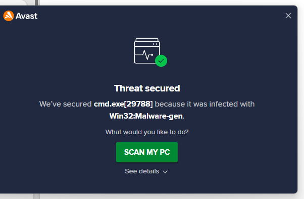 El mensaje que mostro Avast Antivirus